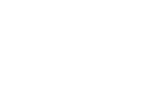 NaI detector